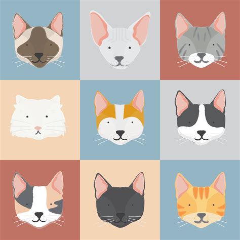 Illustration of cats collection - Download Free Vectors, Clipart ...