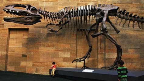 Giganotosaurus Was One of the Largest Carnivorous Dinosaurs That Ever ...