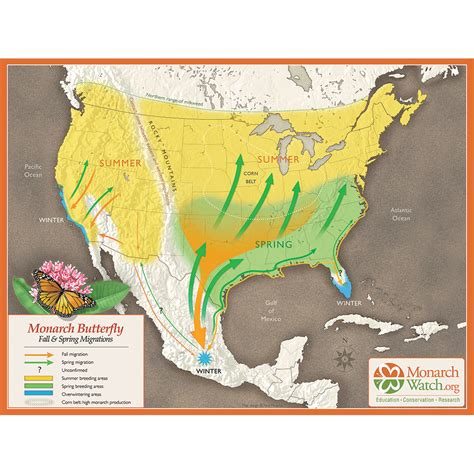 Monarch Migration Map | Monarch Watch