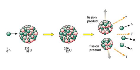 The science of nuclear energy: Week 1: 1.3.3 What is fission ...