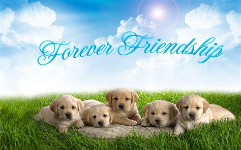 HD Best Friends Forever Backgrounds | PixelsTalk.Net