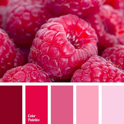 hot pink | Color Palette Ideas