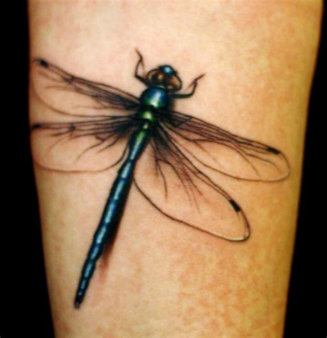 25 Best Dragonfly Tattoo Designs and Placement Ideas - The Xerxes