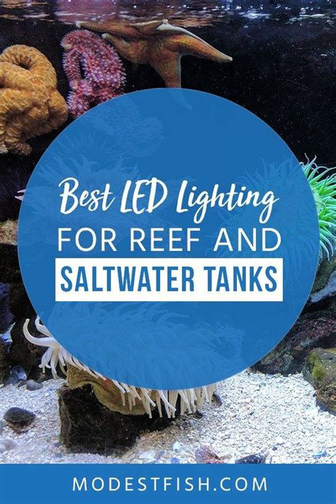 Best LED Lights For Reef Tanks In 2019 Reviewed | Saltwater aquarium ...