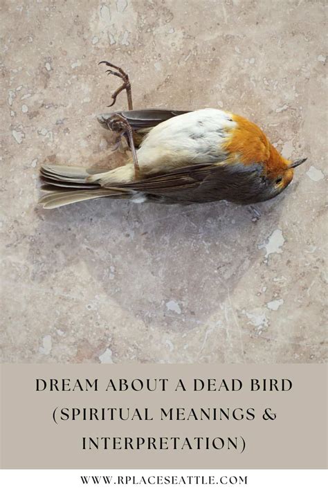 Dream About A Dead Bird (Spiritual Meanings & Interpretation)