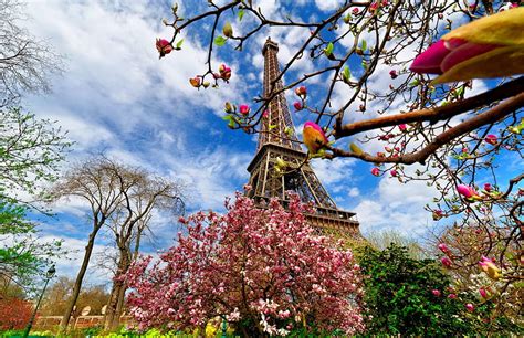 65 Paris in Spring at Bro [2883x1866] for your , Mobile & Tablet, paris ...