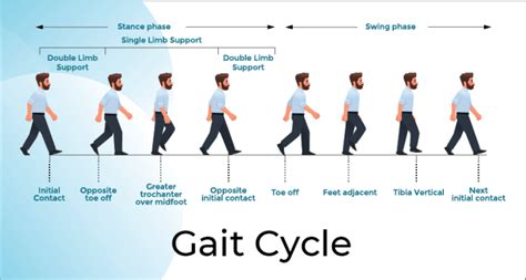 An Introduction to Gait Analysis - Types & Applications of gait analysis