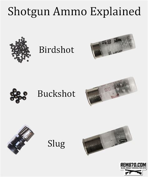 Shotgun Shells Explained - Types Of Ammo (Birdshot, Buckshot, Slugs)