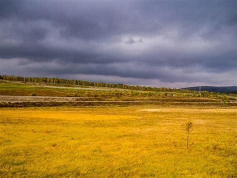 Grassland Biome and Types of Grassland Biomes - Conserve Energy Future