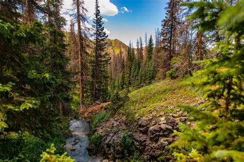 Beautiful Stream in San Juan National Forest, Colorado [OC] [7360x4912 ...