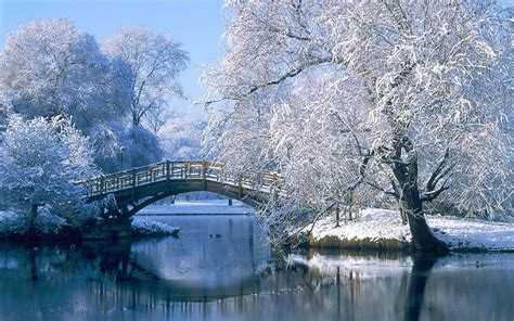 Winter Scenery Wallpapers - Top Free Winter Scenery Backgrounds ...