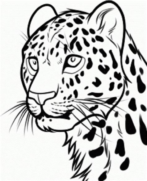 Leopard Face Outline