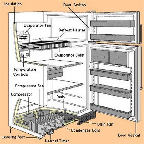 DIY Troubleshooting Guide For Your Refrigerator | Appliance repair ...