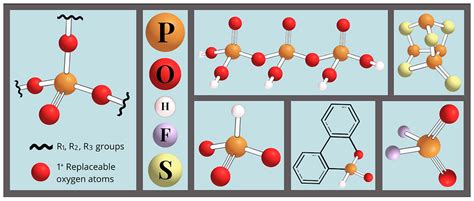 Phosphorus Types Explained