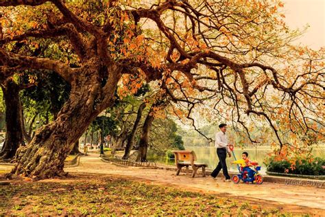 Phong Cảnh Mùa Thu Hà Nội – 7 Địa Điểm Du Lịch Hà Nội Đẹp Nhất Vào Mùa ...