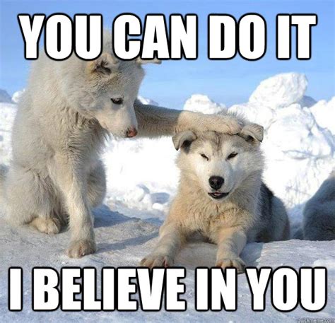 you can do it - Google 검색 | Puppy meme, Little husky, Funny animals