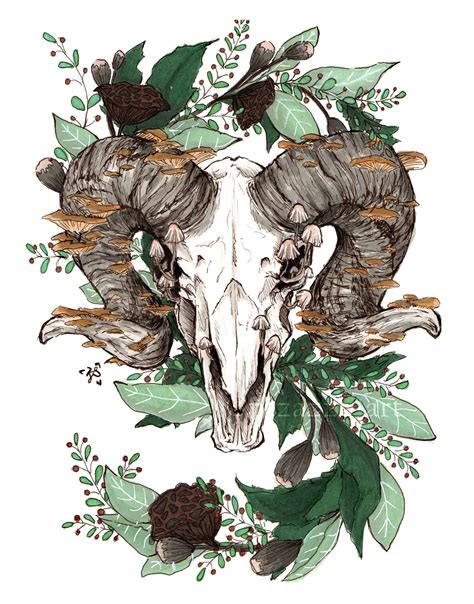 Ram Skull Art Print - Etsy