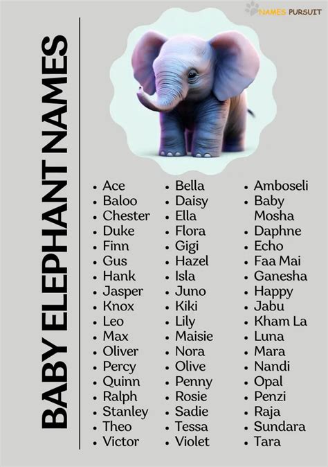 150+ Baby Elephant Names in 2023!