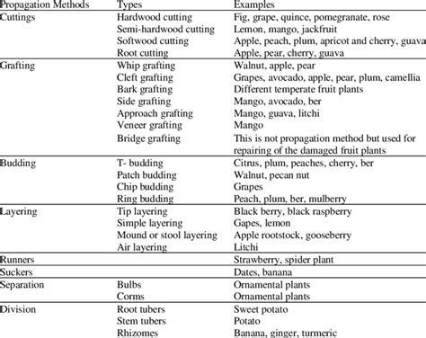 Different methods of vegetative propagation in various horticultural ...