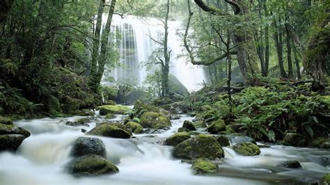 Jerusalem River Waterfalls, Tasmania, Australia (© Ted Mead/Getty ...