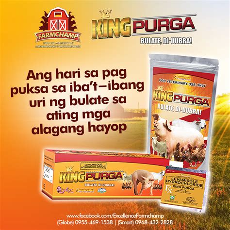 Farmchamp - Ang hari sa pag puksa sa iba’t-ibang uri ng...