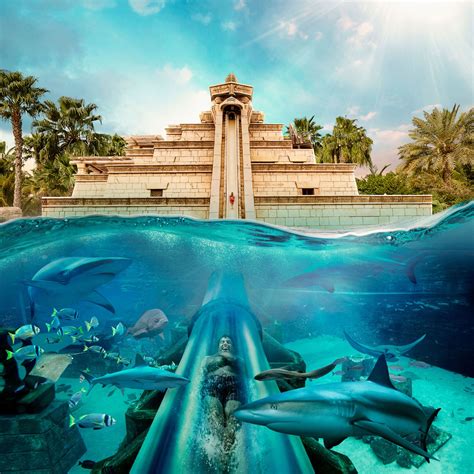 Atlantis The Palm, Dubai - Fairy Tale Palace Of The Lost City With The ...