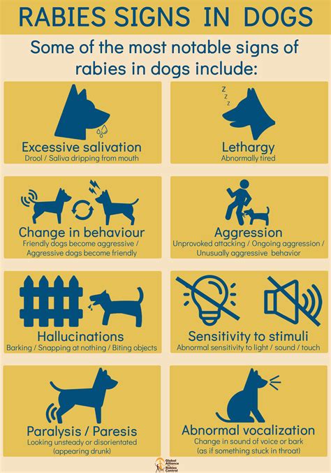 Stages Of Rabies