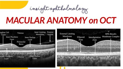 NORMAL MACULAR ANATOMY ON OCT - YouTube