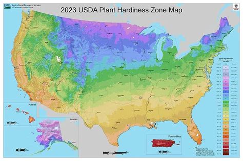 USDA’s updated winter-hardiness zones for Arkansas only one piece of ...