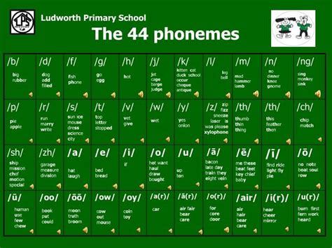 The 44 Phonemes: A Comprehensive Guide