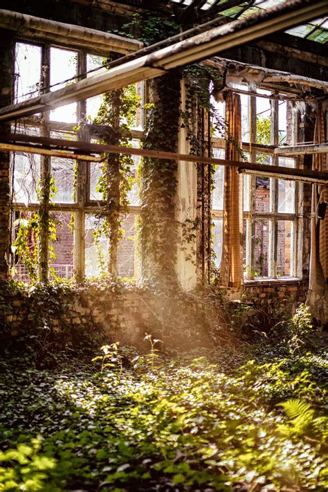 Overgrown room with windows photo by Denny Müller (@redaquamedia) on ...