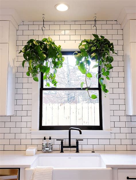 Note House Nashville | Plants in kitchen window, Kitchen plants, Design ...