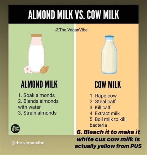 Almond Milk vs Cow Milk | Milk cow, Soy milk nutrition, Milk benefits