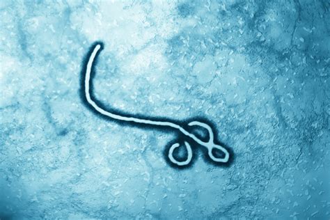 Ebola Virus Vaccine 'A Triumph of American Global Health Leadership ...