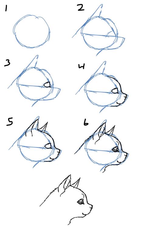 Savanna Williams: How to Draw Cats- Faces / Heads