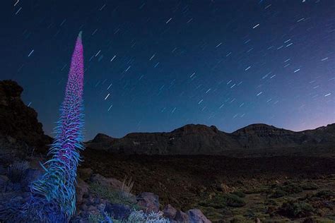 2024 Mount Teide Night Tour: Stargazing, Dinner and Hotel Pick up