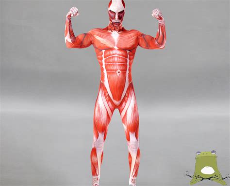 Attack on Titan Colossal Titan suit costume cosplay buy · CosplayFrog ...