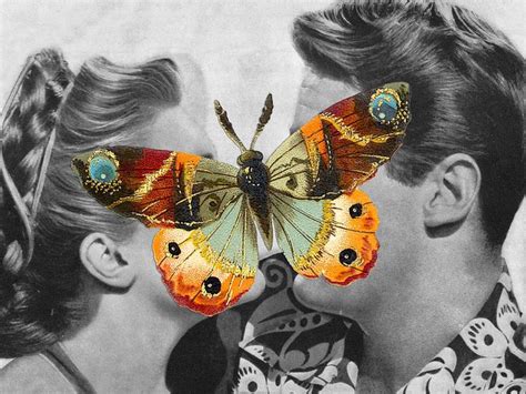 Butterflies | Butterfly art print, Collage art, Butterfly art