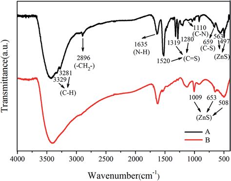 (A) FTIR spectra of Zn(II) dithiocarbamate/ZnS nanocomposite and (B ...