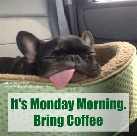 It's Monday Morning Bring Coffee Pictures, Photos, and Images for ...