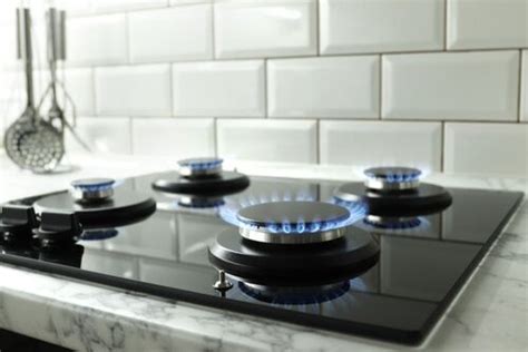 Best Gas Stove Brands In India: Check Out the Best Gas Stove Brands