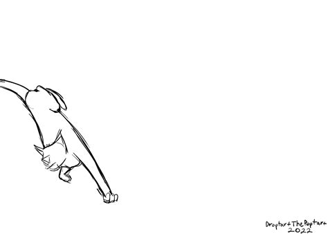 Cat Cartwheel Test Gif by DroptartThePoptart on DeviantArt