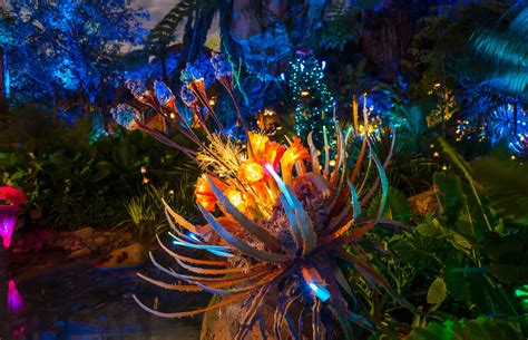 Pandora: The World of Avatar at night at Disney World’s Animal Kingdom ...