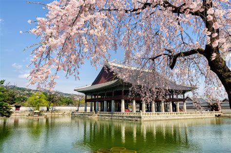 8 Spring Destinations To Visit In Seoul For Cherry Blossoms