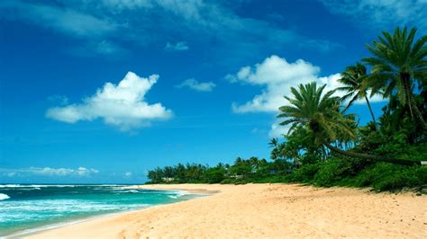 Hawaii Beach Desktop Wallpaper 1920x1080