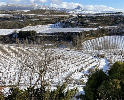 CLIMATE AND WORK IN THE VINEYARD- The weather in the land of the Rioja ...