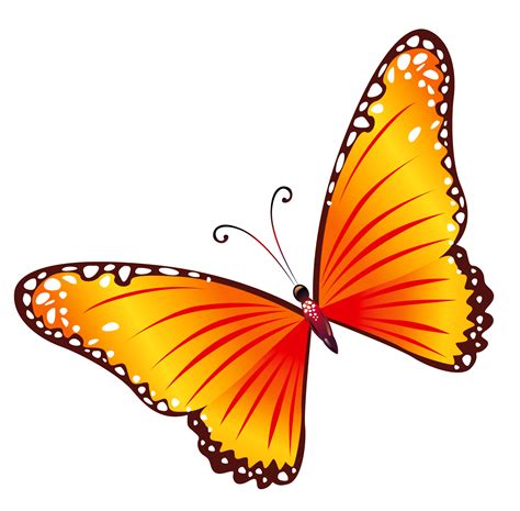 Free Transparent Butterfly Images, Download Free Transparent Butterfly ...