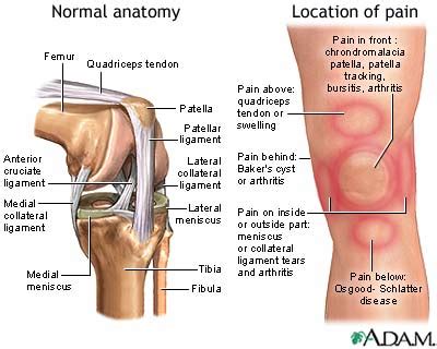 Ligaments Of The Knee Injury Symptoms