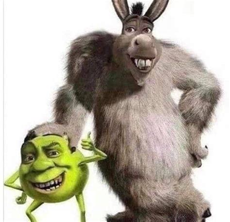 I need some weird pics to send at 3 am ..plz help - WTF | Memes shrek ...