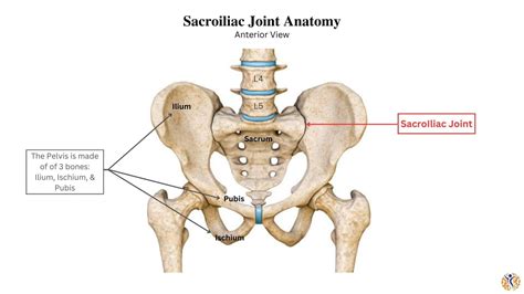 Sacroiliac (SI) Joint Osteoarthritis - Ilyas Munshi, M.D.